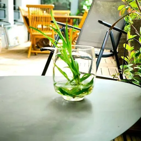 Apartment Le Jardin D'aix-en-provence